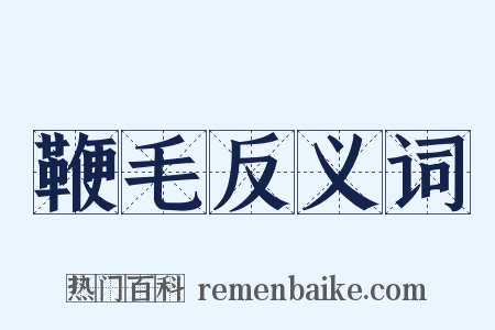 鞭毛反义词是什么意思的图片